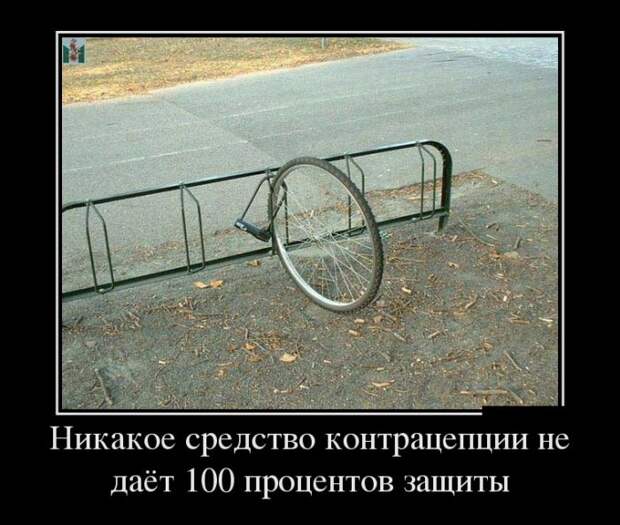 Демотиваторы (30 фото)