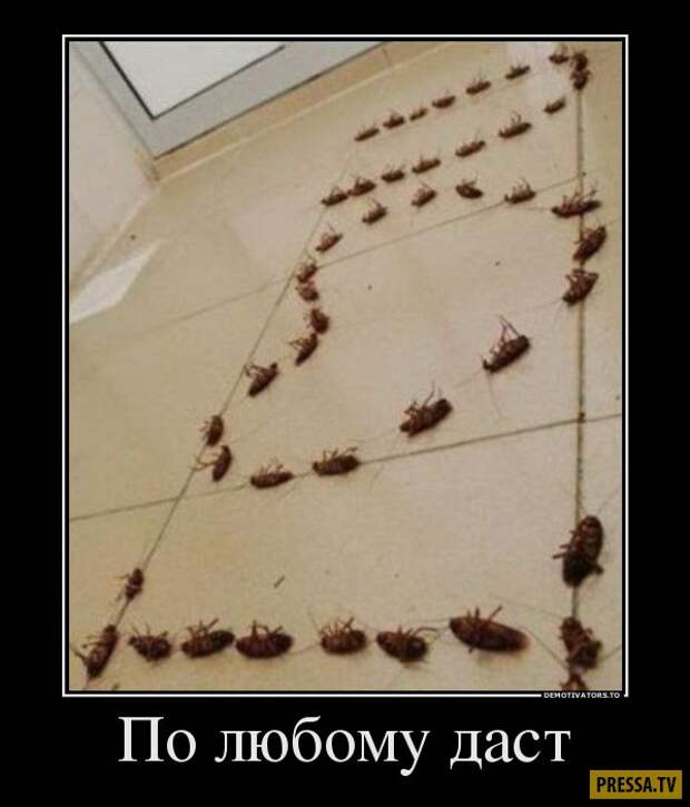 Демотиваторы (42 фото)