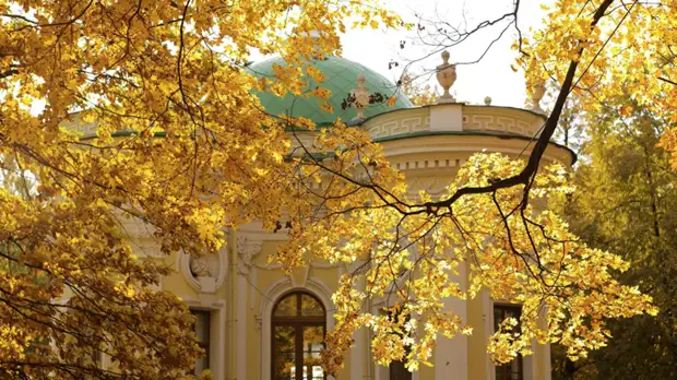 Тишковец назвал сроки наступления «старого» бабьего лета в Центральной России