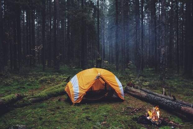 ставить палатку лес