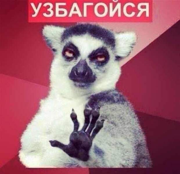 Прикольные картинки Прикольные картинки