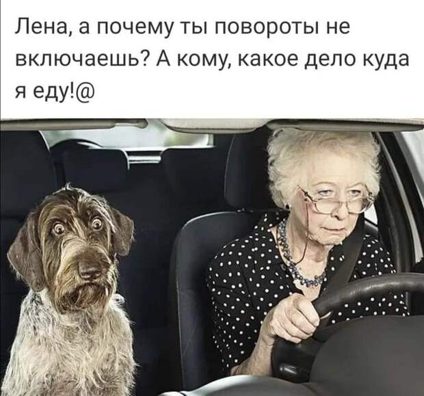 Царь позвал к себе Иванушку-дурака и говорит...