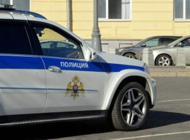 В Москве задержали торговцев поддельными цифровыми пропусками. Фото: Анна Быкова