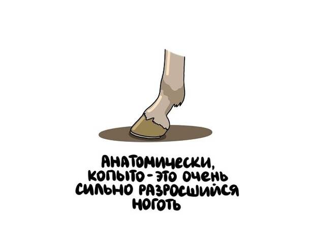 Интересные факты на все случаи жизни