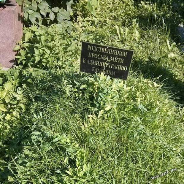 Надписи,объявления