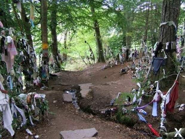 Обычные с виду вещи, обладающие сверхъестественными свойствами