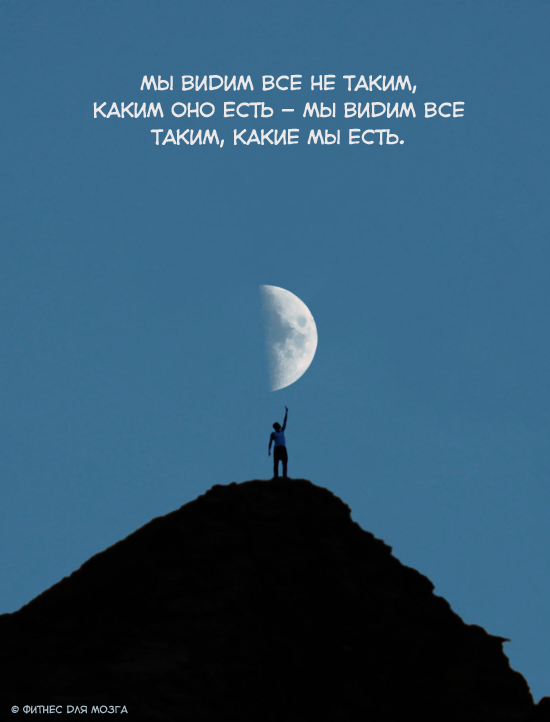 Картинка №12