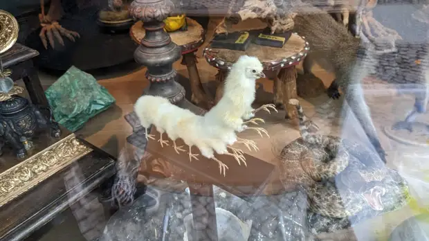 мерзкие приколы