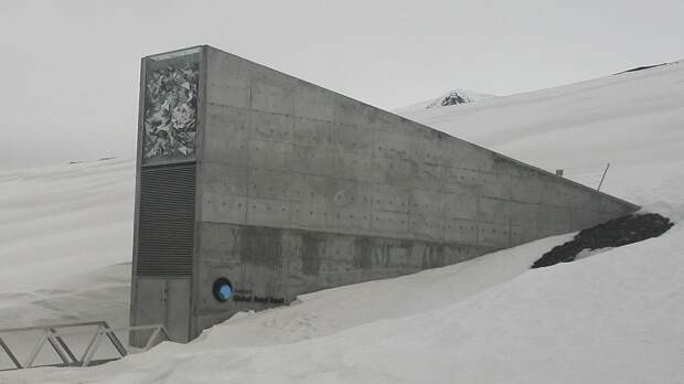 Посол Норвегии рассказала, перенесут ли Всемирное хранилище семян