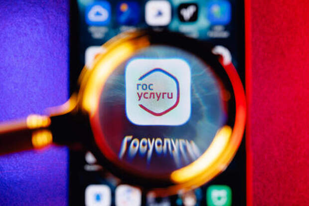 Новый развод от украинских мошенников: россияне массово получают  сообщения о входе на портал «Госуслуги» из «Киева»