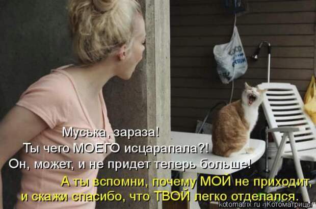 Котоматрицы(картинки с надписями)