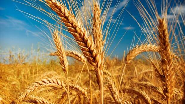 20 продуктов, которые день за днем разрушают ваш организм