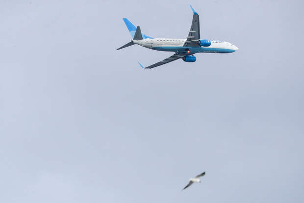 Российский самолет опасно сблизился в небе с другим лайнером из-за ошибки диспетчера