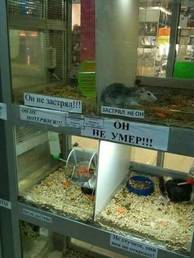 Прикольные вывески. Подборка chert-poberi-vv-chert-poberi-vv-13570217102020-6 картинка chert-poberi-vv-13570217102020-6