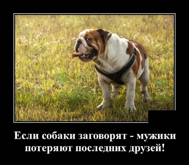 Демотиваторы 18 августа 2021