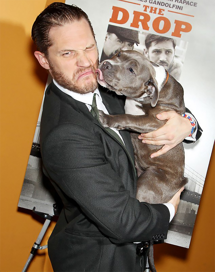https://sobakibalabaki.com/wp-content/uploads/2017/09/love-for-dogs-tom-hardy-25-59bf84c333bbe__700.jpg