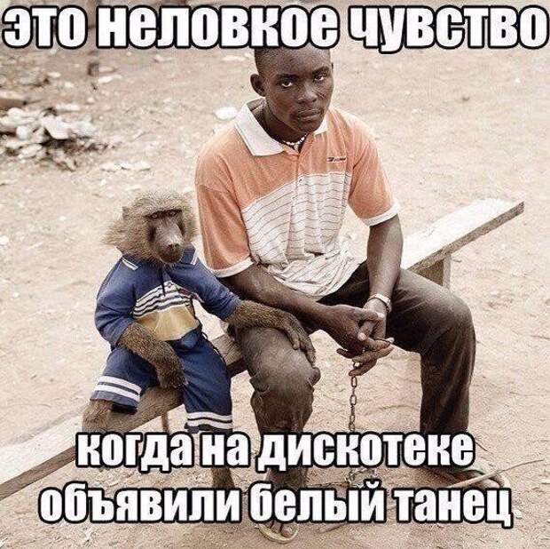 Чернушенция