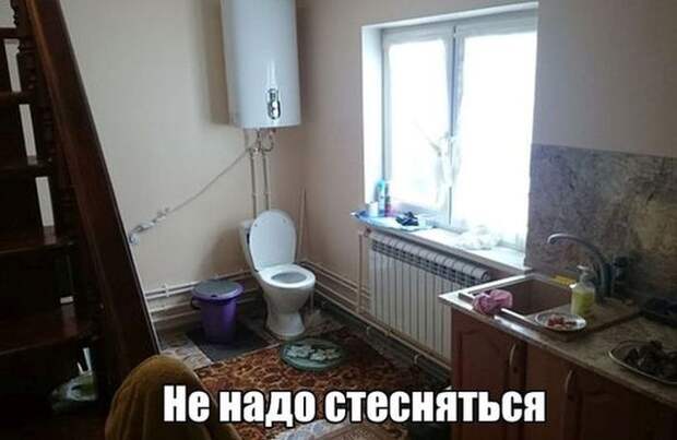 Забавные картинки с надписями для улыбки (12 фото) Забавные картинки с надписями для улыбки (12 фото)
