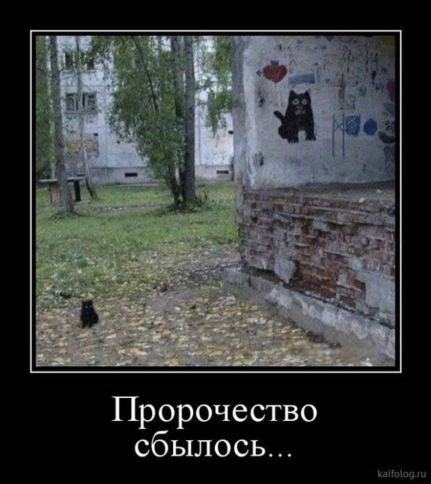 Просто демотиваторы (40 штук) Просто демотиваторы (40 штук)