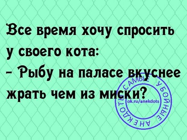 Смешные комментарии из социальных сетей комменты, соцсети, юмор