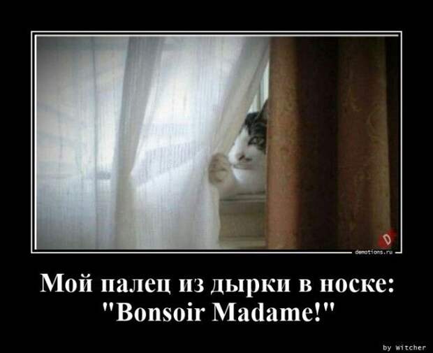 1599633848_demy-13.jpg