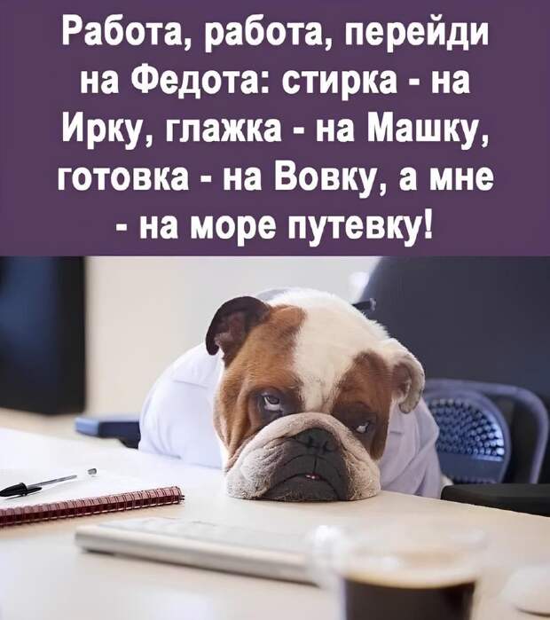 #юмор #смешное #приколы
