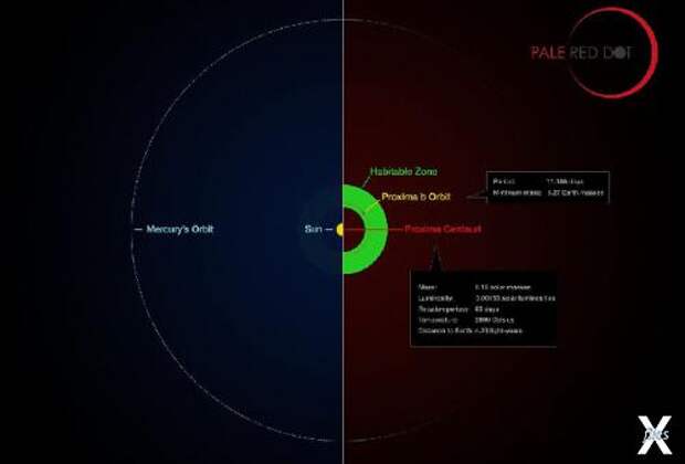 Proxima Centauri b находится в зоне обитаемости - ей комфортно у своей звезды. Как нам у Солнца