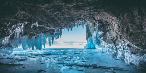 Andrey Dakhnevich/Shutterstock