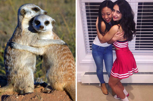 Sorority Girls Pose Like Meerkats