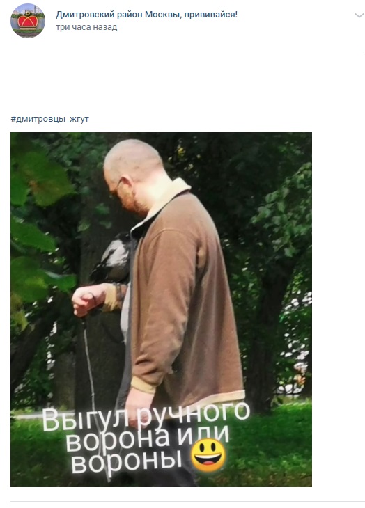 Фото дня: в парке «Ангарские пруды» заметили ручного ворона