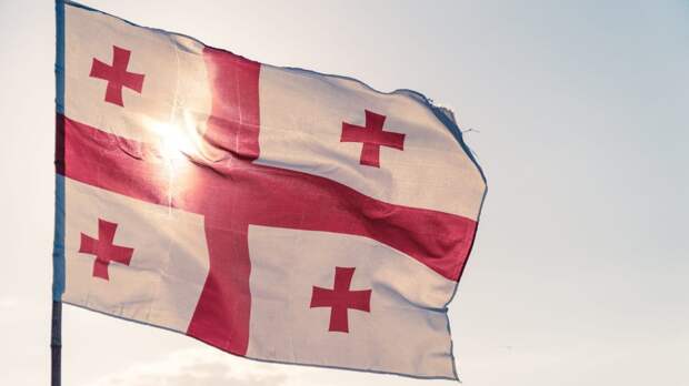 Франция и Грузия обсудили перспективу вступления Тбилиси в Евросоюз