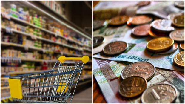 Бунич: правительство РФ располагает инструментами для купирования продовольственной инфляции / Коллаж: ФБА "Экономика сегодня"