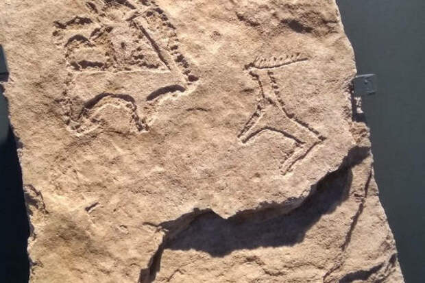 Изображение безоаровых козлов на каменной плите (экспонат Музея камня (Каменной летописи) в Баку)
