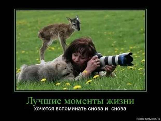 Прикольные демотиваторы с надписями. Подборка chert-poberi-dem-chert-poberi-dem-52310504012021-18 картинка chert-poberi-dem-52310504012021-18