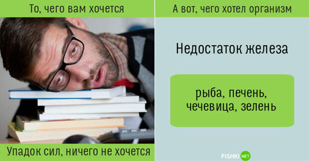 Пойми свой организм правильно: не всегда то, чего нам хочется, действительно нам нужно организм, питание, полезное, продукты, факты