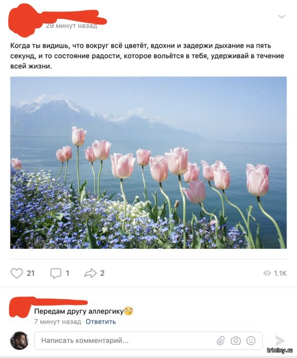 Картинки и комментарии из социальных сетей (20 скриншотов)