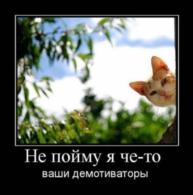 Демотиваторы! Ура! Отрывайся!