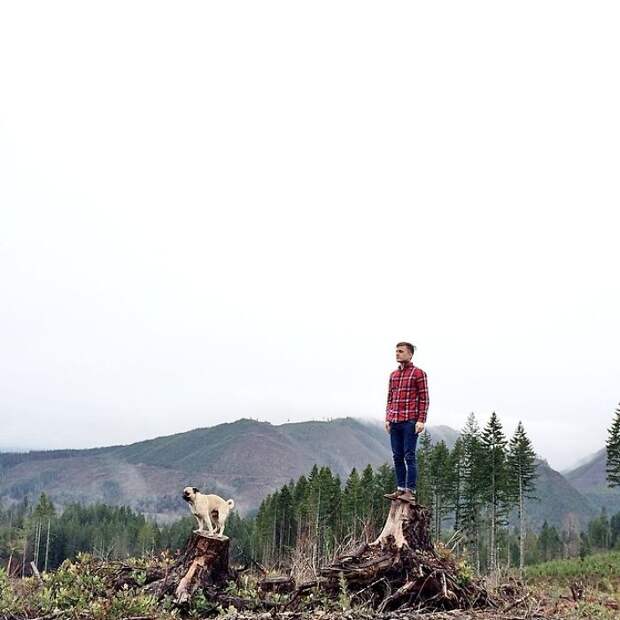 Джереми и мопс осматривают местность, взобравшись на пеньки.