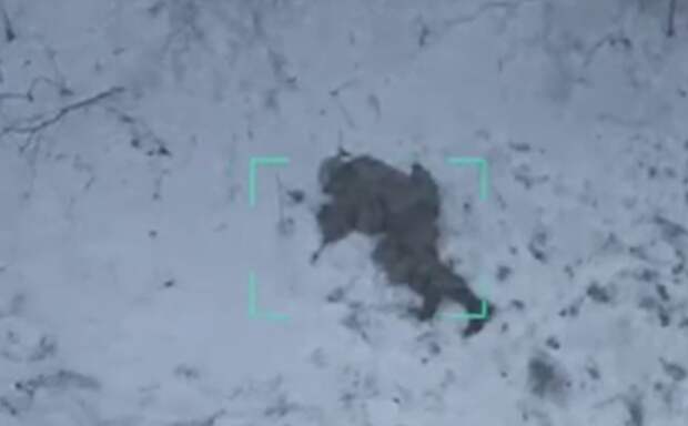 Опубликовано видео, на котором солдат ВС РФ голыми руками сбил украинский дрон
