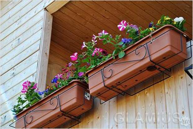 Высадка балконных цветов