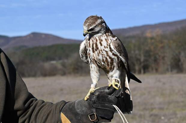 19 февраля: какой сегодня день