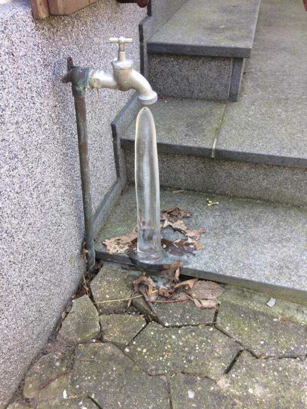 Фотоподборка