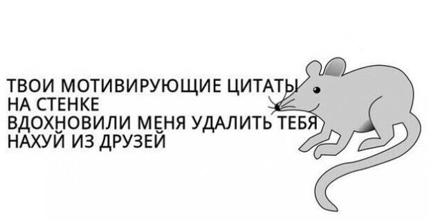 Нестандартный юмор :)