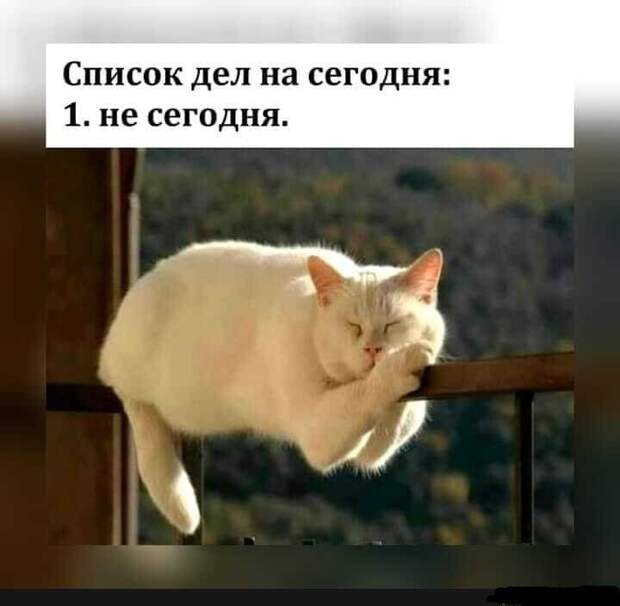 Список дел Список дел