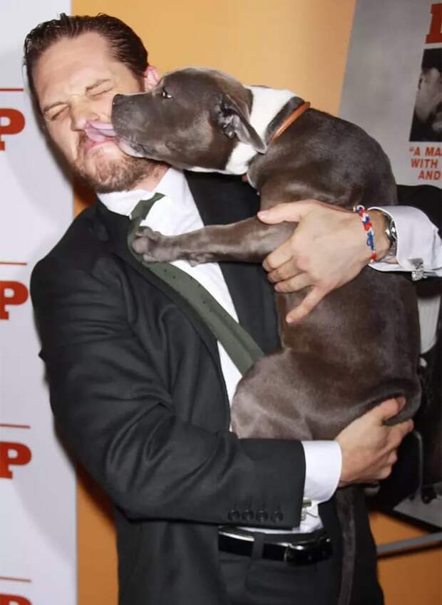https://sobakibalabaki.com/wp-content/uploads/2017/09/love-for-dogs-tom-hardy-9-59bf7380a1963__700.jpg