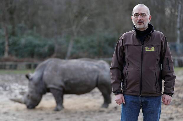 Директор Туари Тьерри Дюгет (позади него носорог Грейси) говорит, что ранее во французских зоопарках браконьеры никогда не убивали животных. Фото: REUTERS