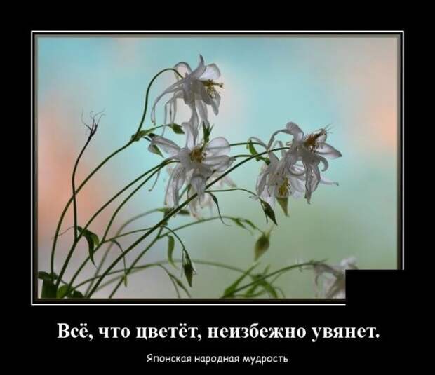 demotivatory-demotivator-smeshnye-demotivatory-demotivator-so-smyslom