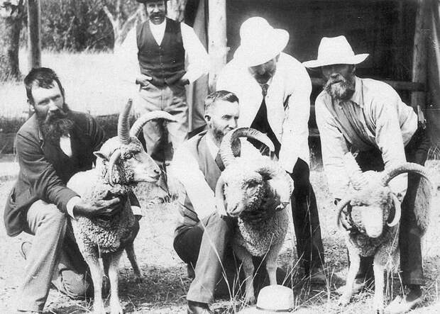 Австралийцы и их домашние животные в начале ХХ века австралия, животные, животный мир Австралии, забавно, история, необычно, слон за чаем, старые фотографии