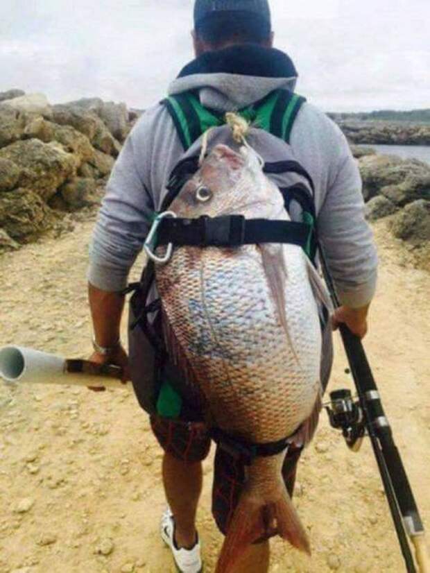 Любителям рыбалки посвящается