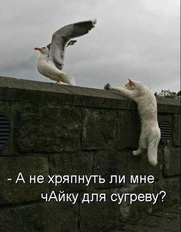 25e404dbe866828d9436a308308